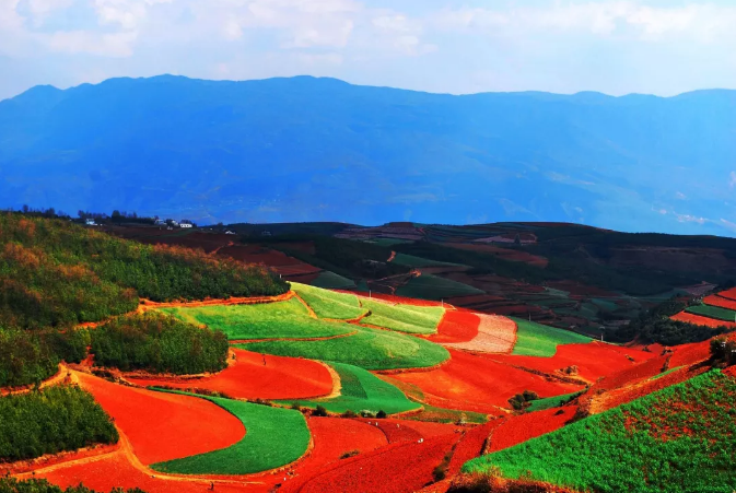 云南東川紅土地的最佳旅游時間是什么時候？