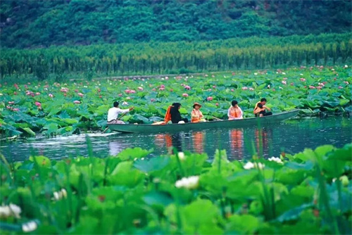 2022普者黑夏令營(yíng)：山水田園，萬(wàn)畝荷花游學(xué)，探訪彝族古村，感知民族文化！