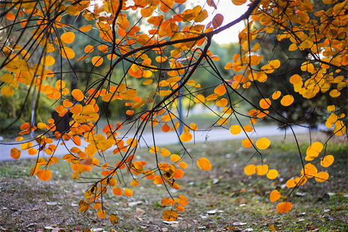 云南文創(chuàng)雪糕火出圈，“雪糕+景點(diǎn)”網(wǎng)紅式打卡驚靚一夏！