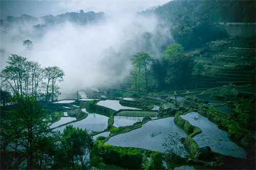 鄉(xiāng)村健康養(yǎng)生產(chǎn)業(yè)的客戶群體有哪些？它有什么開發(fā)要點(diǎn)？