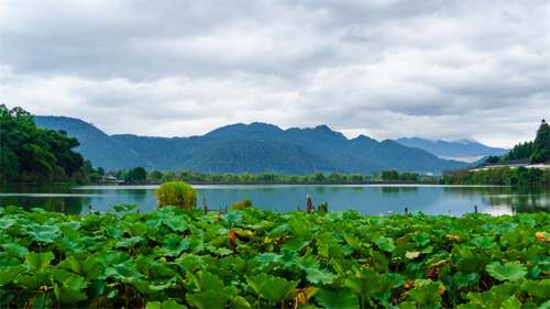 參加夏令營有哪些好處 夏令營對(duì)孩子的成長有哪些幫助