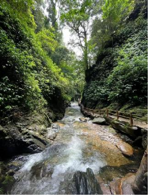 探索自然之美，盡在萬(wàn)物競(jìng)萌植物園