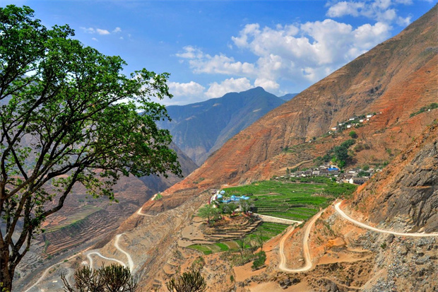云南旅游,云南旅行社,云南團建公司,云南會議公司,大理旅游,大理旅行社,大理團建公司,大理會議公司：云南第一棵咖啡樹，在哪？