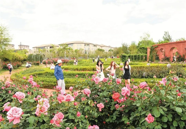 云南旅游,云南旅行社,云南團建公司,云南策劃公司,云南會議公司,昆明旅游,昆明旅行社,昆明團建公司,昆明策劃公司,昆明會議執(zhí)行：旅居昆明，在花海里通關四季！花歷正在更新，等你來簽收春天→